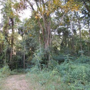 出售地皮-泰国-碧差汶-22400-平方米-0.72-01