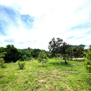 出售地皮-泰国-碧差汶-2344-平方米-26.35-01