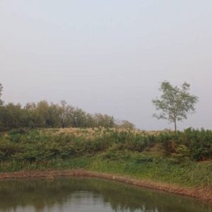 出售地皮-泰国-碧差汶-24152-平方米-5.38-01