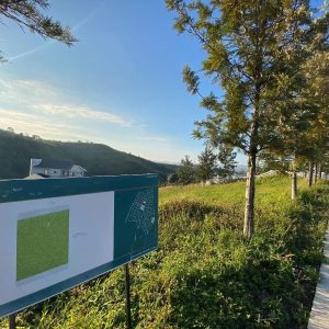 出售地皮-泰国-碧差汶-624-平方米-605.89-01