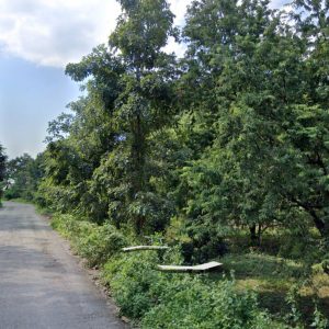 出售地皮-泰国-碧瑶-27200-平方米-15-01