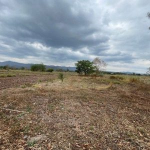 出售地皮-泰国-碧瑶-3604-平方米-6.78-01