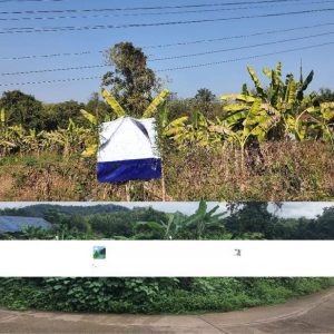 出售地皮-泰国-程逸-1600-平方米-34.09-01