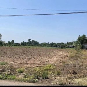 出售地皮-泰国-程逸-17324-平方米-0.92-01