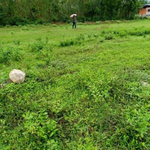 出售地皮-泰国-程逸-612-平方米-16.83-01