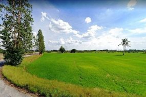 出售地皮-泰国-素攀-16000-平方米-11.8-01