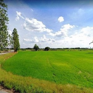 出售地皮-泰国-素攀-16000-平方米-11.8-01