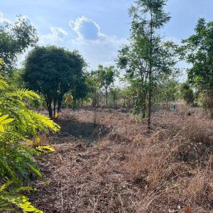 出售地皮-泰国-素攀-17060-平方米-5.83-01