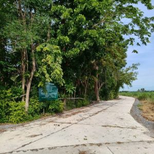 出售地皮-泰国-素攀-21240-平方米-12.12-01