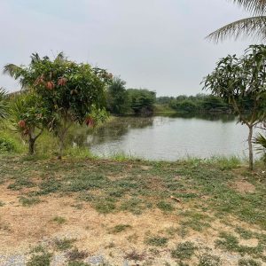 出售地皮-泰国-素攀-25536-平方米-20.83-01