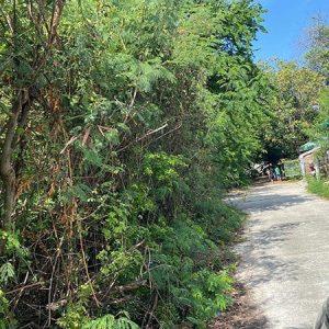 出售地皮-泰国-素攀-320-平方米-128.58-01