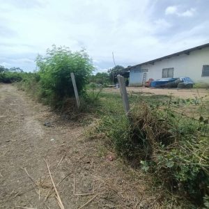 出售地皮-泰国-素攀-3840-平方米-44.66-01