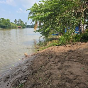 出售地皮-泰国-素攀-396-平方米-206.09-01