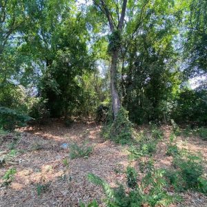 出售地皮-泰国-素攀-4060-平方米-43.92-01