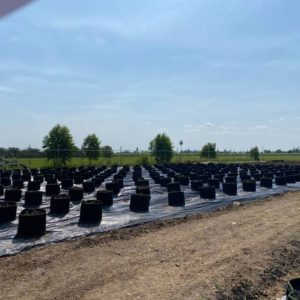 出售地皮-泰国-素攀-6336-平方米-59-01