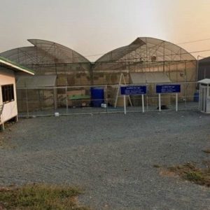 出售地皮-泰国-素攀-6336-平方米-64.95-01