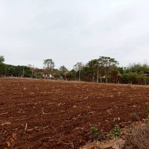 出售地皮-泰国-素攀-8000-平方米-10.72-01