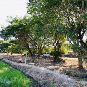 出售地皮-泰国-红统-6292-平方米-25.89-01