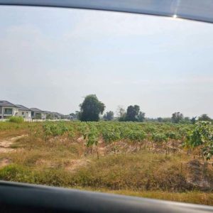 出售地皮-泰国-罗勇-13080-平方米-209.72-01