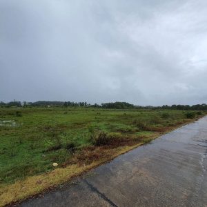 出售地皮-泰国-罗勇-14476-平方米-32.15-01