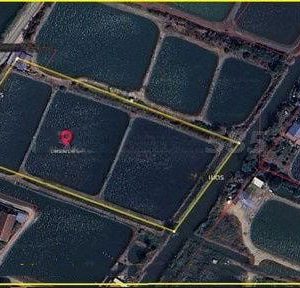 出售地皮-泰国-罗勇-16000-平方米-85.72-01