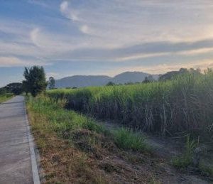 出售地皮-泰国-罗勇-160000-平方米-18.23-01