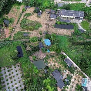 出售地皮-泰国-罗勇-17568-平方米-52.72-01