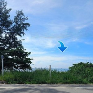 出售地皮-泰国-罗勇-17595.2-平方米-214.29-01