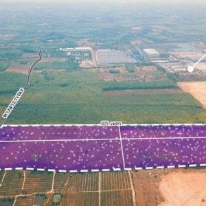 出售地皮-泰国-罗勇-201260-平方米-38.35-01