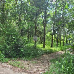 出售地皮-泰国-罗勇-20800-平方米-53.58-01