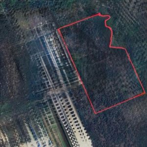 出售地皮-泰国-罗勇-216000-平方米-1.29-01