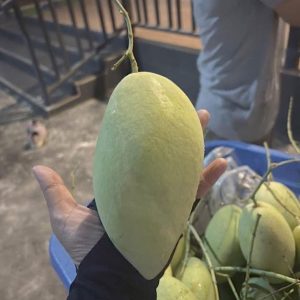 出售地皮-泰国-罗勇-2216.8-平方米-30.18-01