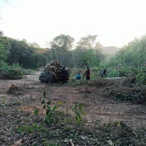 出售地皮-泰国-罗勇-2400-平方米-25.72-01