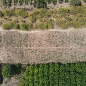 出售地皮-泰国-罗勇-35364-平方米-35.86-01