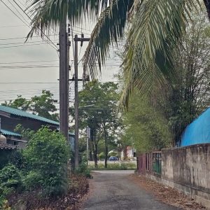 出售地皮-泰国-罗勇-384-平方米-49.12-01