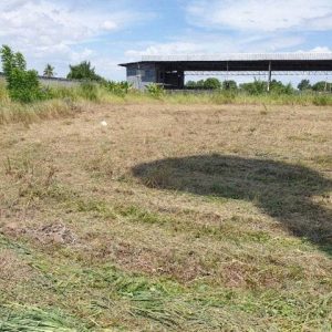 出售地皮-泰国-罗勇-38440-平方米-37.49-01