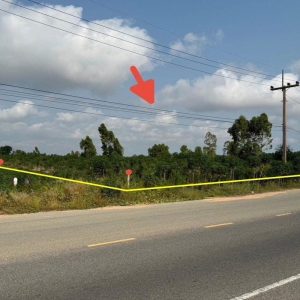 出售地皮-泰国-罗勇-40900-平方米-62.89-01