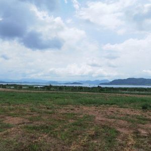 出售地皮-泰国-罗勇-45520-平方米-42.89-01