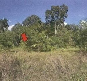 出售地皮-泰国-罗勇-4588-平方米-23.92-01