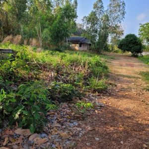 出售地皮-泰国-罗勇-6040-平方米-38.6-01