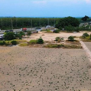 出售地皮-泰国-罗勇-60568-平方米-136.15-01