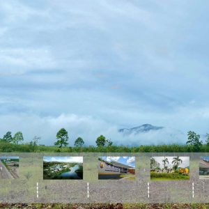 出售地皮-泰国-罗勇-800-平方米-42.43-01