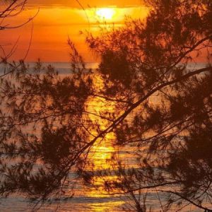 出售地皮-泰国-罗勇-800-平方米-85.72-01