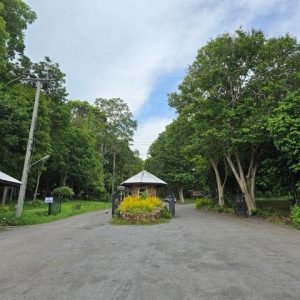 出售地皮-泰国-罗勇-892-平方米-91.89-01