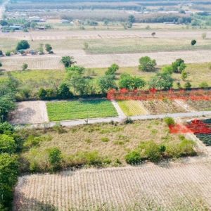 出售地皮-泰国-罗勇-916-平方米-51.43-01