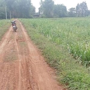 出售地皮-泰国-胶拉信-14580-平方米-2.58-01