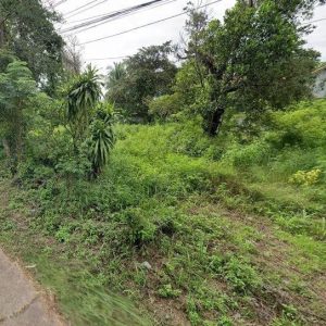 出售地皮-泰国-莫拉限-2568-平方米-71.26-01