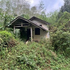 出售地皮-泰国-董里-3092-平方米-13.32-01