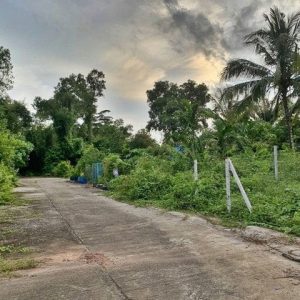 出售地皮-泰国-董里-676-平方米-87.03-01