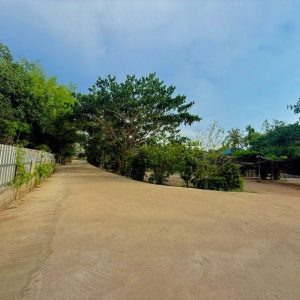 出售地皮-泰国-达-12232-平方米-43.46-01